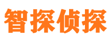 谷城市侦探调查公司